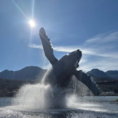 BenGiggman's profile picture. 🇺🇸🇬🇧🇮🇱🇨🇦⚾️🏈🏎🏒