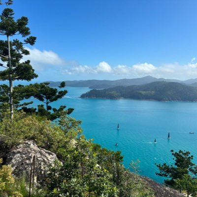 MyloDL's profile picture. 