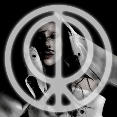 angeloscrr's profile picture. tudo ele odeia