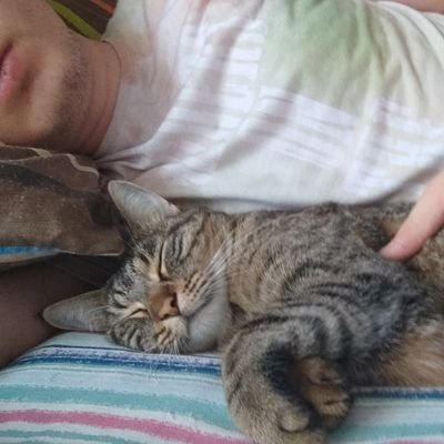furkanakyurk's profile picture. Gamedev - @VellichorGames