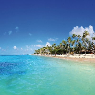 lorna_chin48's profile picture. 