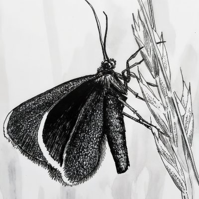 JPBilowus's profile picture. A digital designer making digital art.
Experimenting on NFTs and its valuation.
Hard up bitcoiner

#JPHearts #tezosart

Artist member of Newtro Arts Collective.