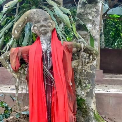 Bolaji848028041's profile picture. Dawa squad 👹#Man u for life ❤️⚽️