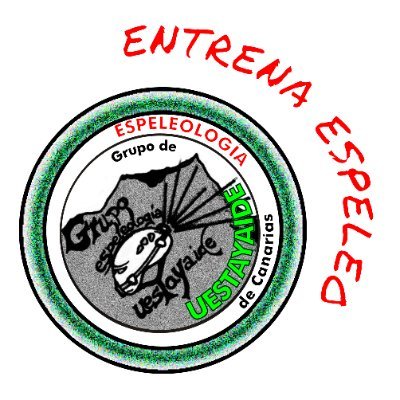 GECUestayaide's profile picture. 