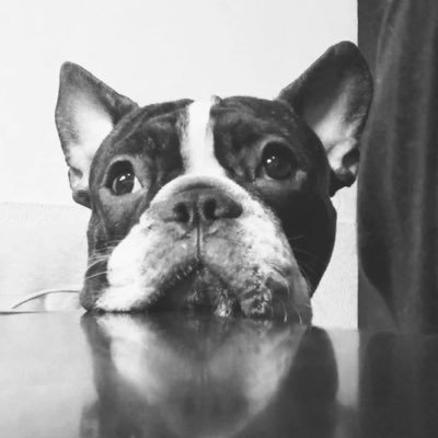 bycyyn's profile picture. I only cry for dramas #Rubius ~ #고윤정