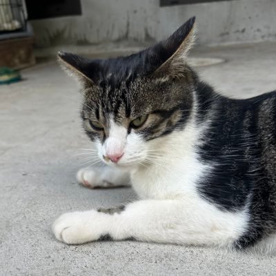 ss100___'s profile picture. 音楽/お笑い/部品メーカー