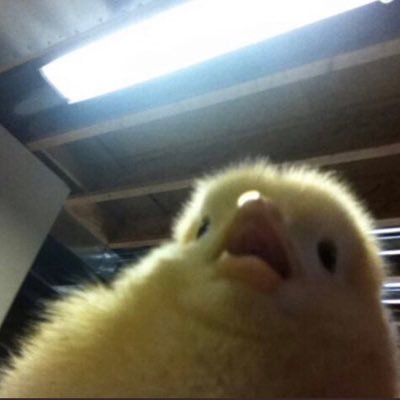 spideyidie's profile picture. ✝️ Wumbology expert. Marvel is kinda cool.