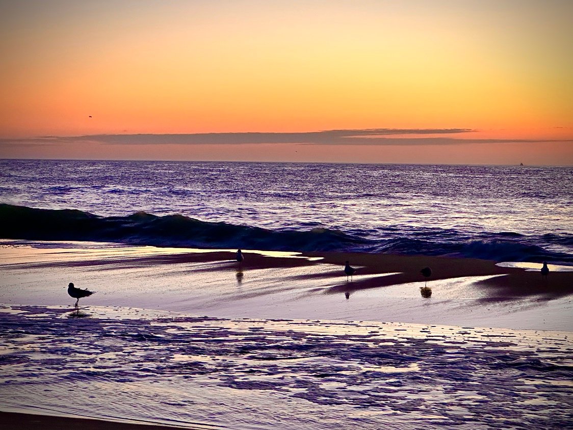 PhotogRose's profile picture. 