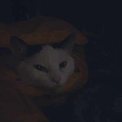 Privatecanadien's profile picture. Just trying to enjoy life