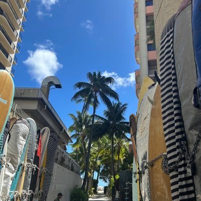 michiyo_leva's profile picture. ＊レラカムイ👉🏻レバンガ北海道応援📣 ♪BESTY♪