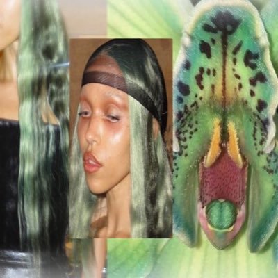 shxouls's profile picture. blablajaehee⠀⠀ ⠀ ⠀⠀ ⠀⠀