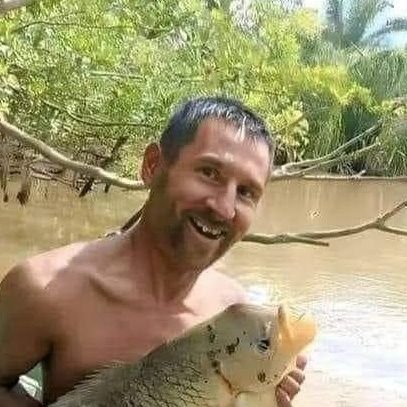 liosselmeni's profile picture. 