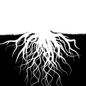 DrLove1985's profile picture. 