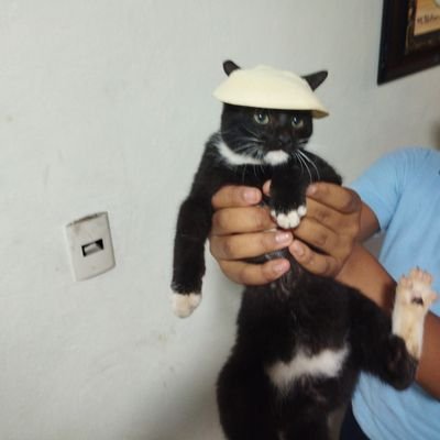 Pablitogames3's profile picture. Meta? Ser YouTuber De Roblox (Ns cómo iniciar)🤔

(YT)➡️https://t.co/2h1kaNp4pj

(Roblox Perfil)➡️https://t.co/mXKFZp8oRb