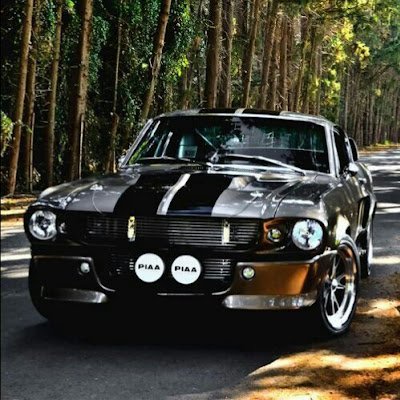 VladimirPD71859's profile picture.