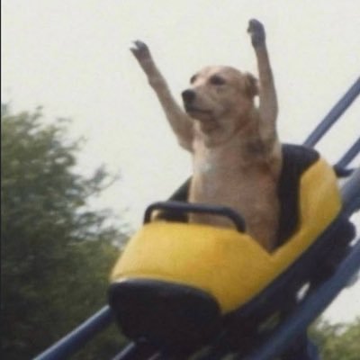 1LoveCozy's profile picture. 