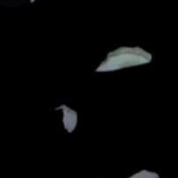 valentina213931's profile picture. 