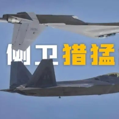 LimShoi's profile picture. Long term bagholder/investor.