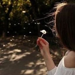 Qebieg0074's profile picture. 