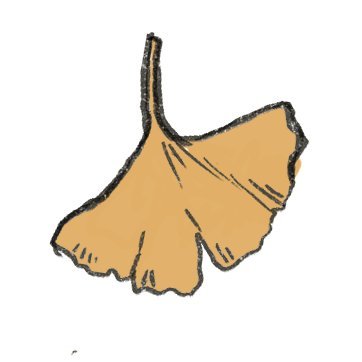 葦原のきさんのプロフィール画像
