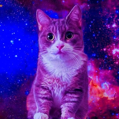 cybercat114's profile picture. 