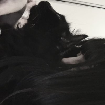 babisemrivotril's profile picture. scarry bitch