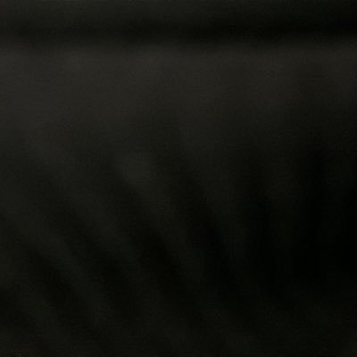 raulllmx's profile picture. 