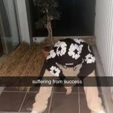 shadowiswashed1's profile picture. Greatness comes from struggles