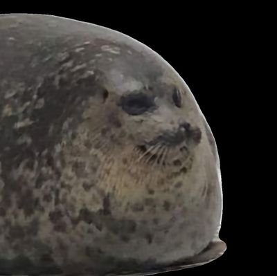 ChomkCatto's profile picture. Ao3: https://t.co/zfLkTWIWKk | She/They/He Lesbian | Occasional 🔞 posting | 'Furina is the living body of a dead god' |