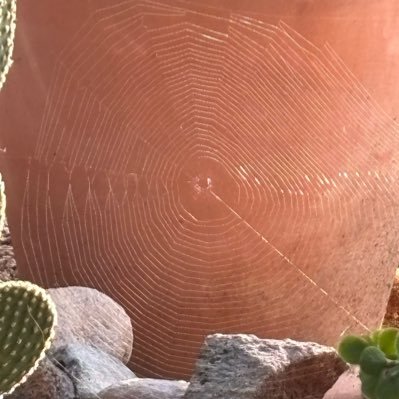 goforit54's profile picture. 