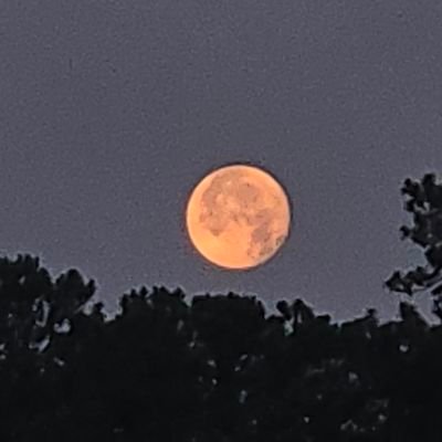 JamesYoun19007's profile picture. Bi | military guy | verse top 😈
if I have to pay to fuck you, stay out of my  DMs! do NOT ask for money!