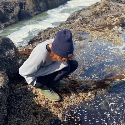 emotionalpigeon's profile picture. a lizard egg that contains an evil baby lizard