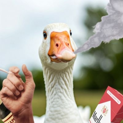 BandITJuicebar's profile picture. B&IT Services - Juicebar Manufacturers - @dyslexicTRAD is my nanner poodin wife- steal golf courses, raise GOOTS
- wind turbine disrespecter - Impatient zero