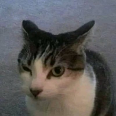 adebsdoinsta's profile picture. Versão dos meus pensamentos sem censura