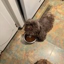 Ansley Pierce - @AnsleyPier16841 - Twitter