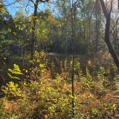 UpnorthDad2024's profile picture. I’m a Married man! Secret account. Just love the physical touch! I’ll show off a little but I do enjoy the views!