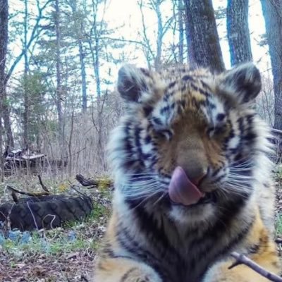 SameerahCR7's profile picture. instas: @hockeyhabibi & @mhysameerah #handsoffhaiti #freecongo #freesudan #freepalestine  Free all the oppressed humans on Earth 🌍🙏🏽❤️‍🩹