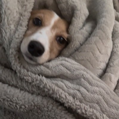 pavlackgab's profile picture. novo tt meninas