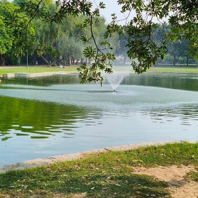 dipesh_jangra02's profile picture. 