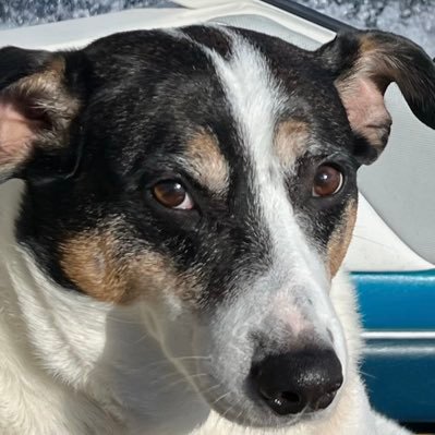 John_Size's profile picture. Postmedia deputy managing editor. Musician. My thoughts and opinions. .