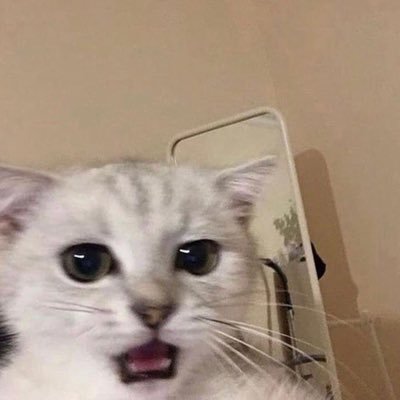Jrchyaaaa's profile picture. 𝑩𝑲𝑷𝑷, 𝑺𝑹𝑪𝑯𝑨𝑭𝑹𝑬𝑬𝑵 , 𝑪𝑯𝑨𝑹𝑳𝑶𝑻𝑻𝑬 , 𝑮𝑰𝑵𝑵𝒀𝑵𝑨𝑻𝑵𝑰𝑪𝑯𝑨 ˚◞♡ ⃗  #hhusnafilm
