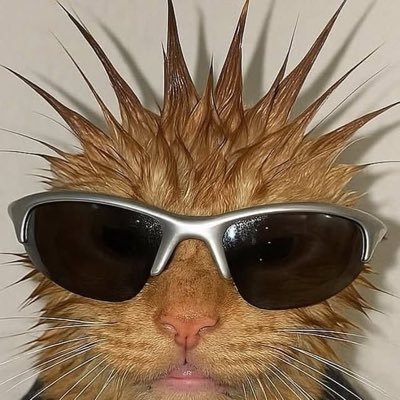 GoldHeisenbergg's profile picture. I love entertainment