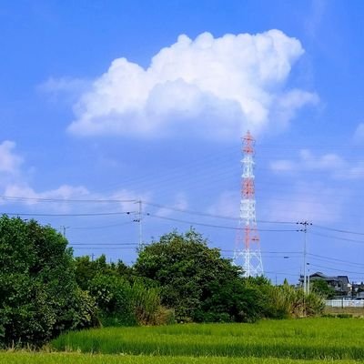 @15heiSango54705