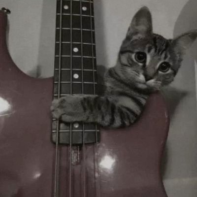 meirakkscal's profile picture. ele/dele