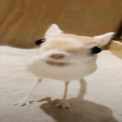 Eddiethegoat999's profile picture. 