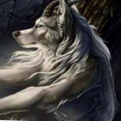 SeIfDoubting's profile picture. 