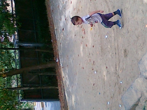 merallarem2's profile picture. 