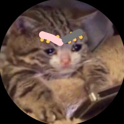 npochapuriketu's profile picture. 凍結でドンギッドックンドロロしてしまったンポチャです