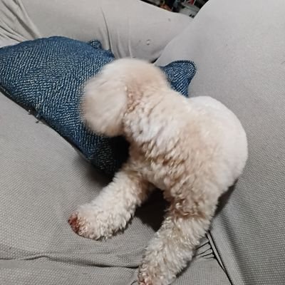 Wahaman165176's profile picture. Top Bisex