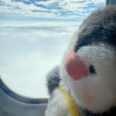 estrela530's profile picture. 